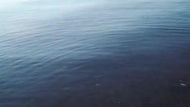 彩色小纸船放置湖面飘动视频的预览图